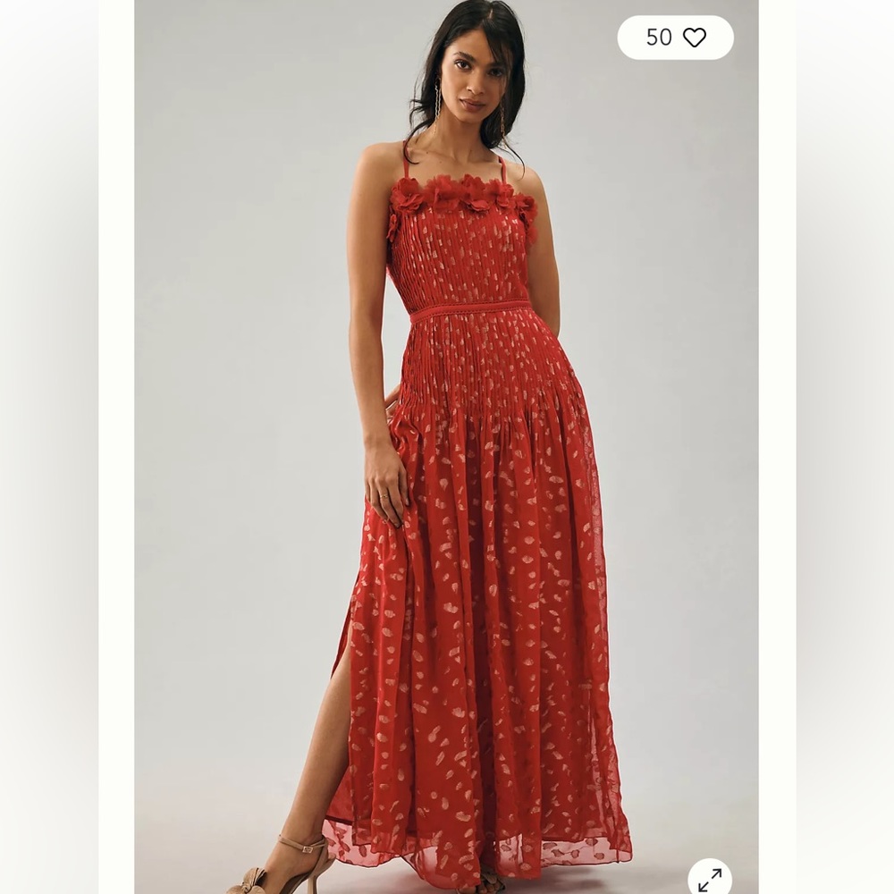 Bhanuni by Jyoti Sheer Maxi Dress